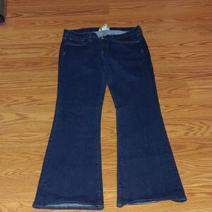 Lucky Brand  Southside Zoe Flare Sz 12  NWOT